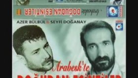 Seyfi Doğanay - Viran Ettiler Seyfi Doğanay - Viran Ettiler