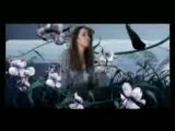 Dry256 Nancy Ajram