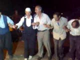 Halay
