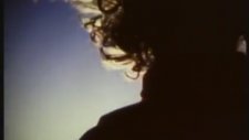 The Gentle Waves - Falling From Grace