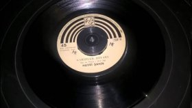 Hayri Şahin - Garipler Diyarı Hayri Şahin - Garipler Diyarı