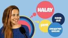 Yeni Gelinlerin Tatlı Telaşı Çıldırttı