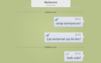 Vestel Yıldız - Seviyorsan Git Konuş