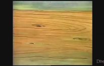 Nasrettin Hoca Fıkraları Çizgi Film HD
