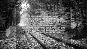 Taladro - Yaprak Dökümü Taladro - Yaprak Dökümü