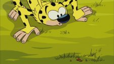 Uzun Kuyruk | Marsupilami | Maceracı | Çizgi Film