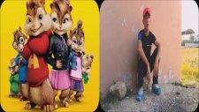 Adana Merkez Patlıyo Herkes ( Alvin ve Sincaplar )