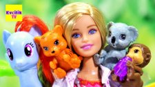 Barbie Veteriner | MLP My Little Pony Rainbow Dash | Evcilik Tv