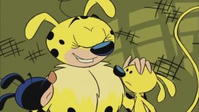 Uzun Kuyruk | Marsupilami | Yuvarlak Şekil Fobisi | Çizgi Film