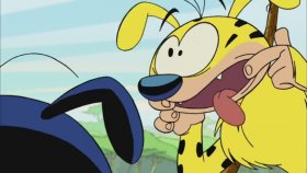 Uzun Kuyruk | Marsupilami | Bobo'nun Rüyası | Çizgi Film