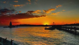 Tom Waits - Telephone Call From Istanbul Tom Waits - Telephone Call From Istanbul
