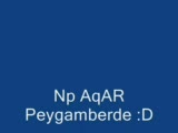 Frankcashtain Np Aqar Andream Show