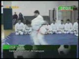 Konya Aikijutsu