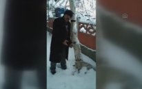 Şehre inen tilki soğuktan dondu