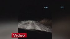 Donmaktan son anda kurtuldular
