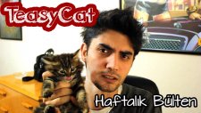 TeasyCat Haftalık Bülten - 11 Mart