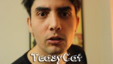 TeasyCat Tanıtım Videosu