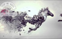 Gostan - Comet
