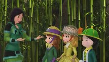 Prenses Sofia Sen Sandığından Güçlüsün - Çizgi Film