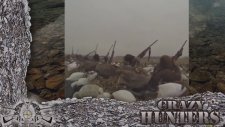 Ördek Avı # 004