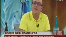Domuz Gribi Hakkında Merak Edilenler