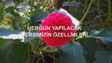 Hergün Yapılacak Dersimizin Özellikleri...