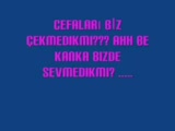 bisim grup