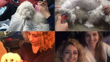 Melisa Beleli Vlog: Benimle Bir Gün, Yummy'nin Traş Günü, Makyaj