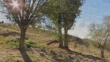 Ayaş-Sinanlı Kasabası