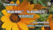 Darwinistler Neden Mükemmellik Kavramını Reddederler? / A9 Tv