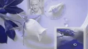 Kazancı Bedih - Sıra Gecesi İbo Show Kazancı Bedih - Sıra Gecesi İbo Show