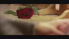 Raşit Avcı - Ay Çiçeklerim