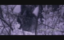 Cem Adrian - Sen Gel Diyorsun (Öf Öf) (Lyric Video)