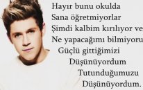 One Direction History Türkçe Çeviri Şarkı Sözü Lyrics (Turkish Translate)