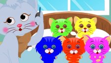 Five Little Kittens | Beş Küçük Kedi Yavruları Şarkısı