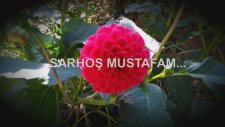 Sarhoş Mustafam…