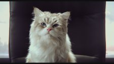 Nine Lives (2016) Teaser Fragman