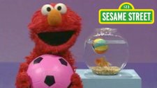 Sesame Street: Elmo's World: Play Ball! | Susam Sokağı: Elmo'nun Dünyası: Top Oyna!