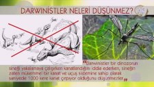 Darwinistler neleri düşünmez? -3- / A9 Tv