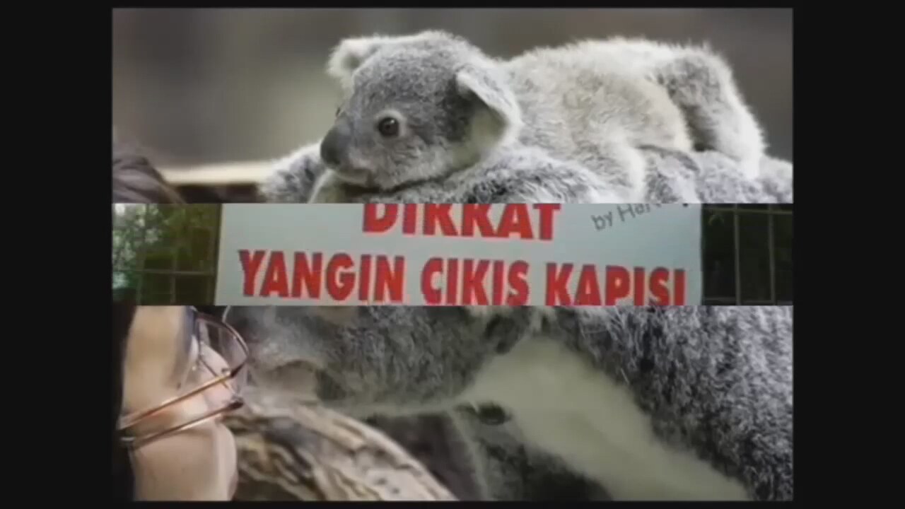 Ilgin ve komik fotolar 12 Ilgin ve komik fotolar 2