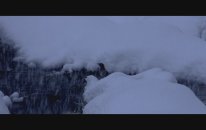Cem Adrian - Sen Gel Diyorsun (Öf Öf)