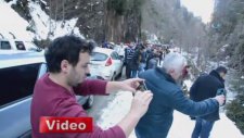 Derede can pazarı