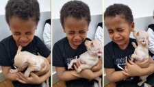 Köpeğin Sevimliliğine Dayanamayıp Ağladı