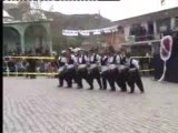 Aricak Ters Lale Şenliklerinde Görüntüler Www.ari