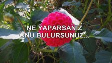 Ne Yaparsanız Onu Bulursunuz...