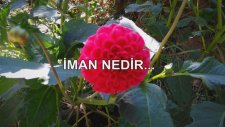 İman Nedir...
