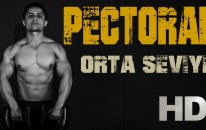 Orta Seviye - Evde Chest - Pectoralis (Göğüs Kası) Antrenmanı / Fitness