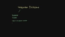 Hayvanlar Arası İletişim