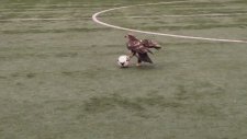 Futbol Topu İle Cebelleşen Kartal