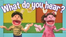 What Do You Hear? | Animal Song | Ne Duyuyorsun? | Hayvan Şarkısı